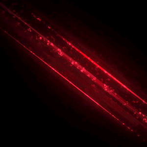 a489c094c4748e1608f2c1ed5060c97e.gif